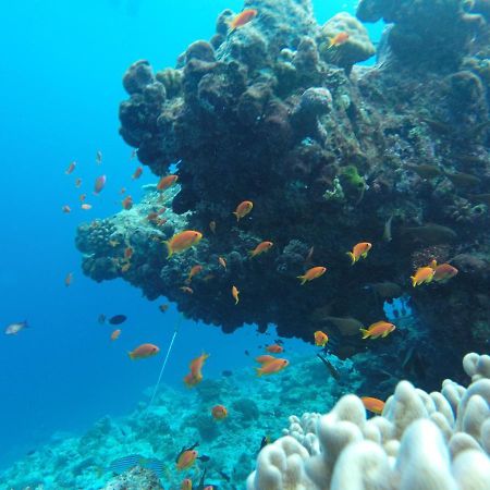 Rasdhoo Coralville Luaran gambar