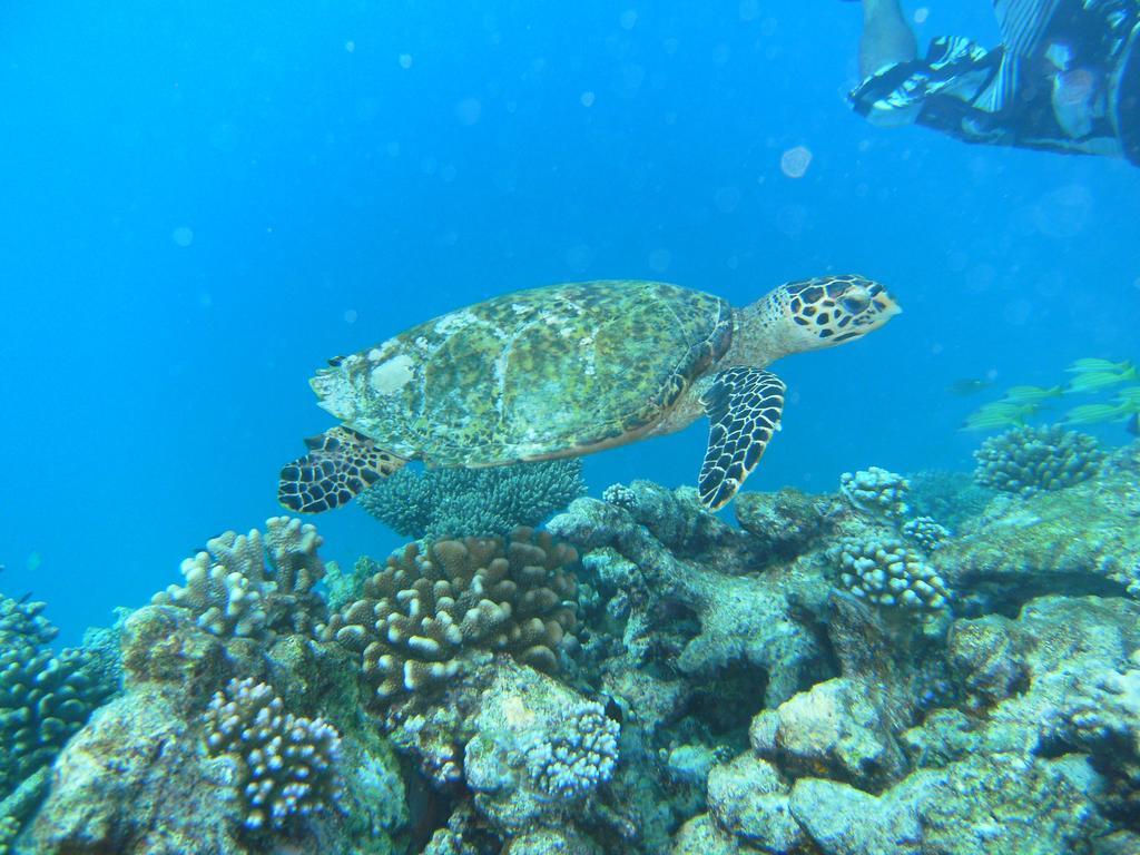 Rasdhoo Coralville Luaran gambar