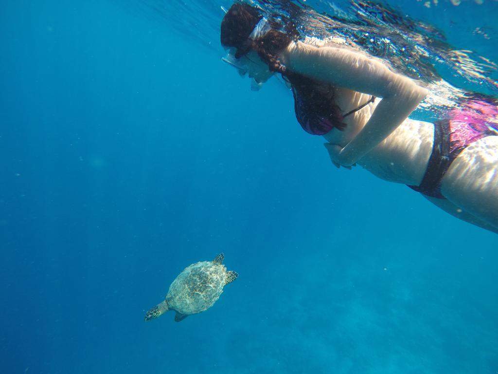 Rasdhoo Coralville Luaran gambar
