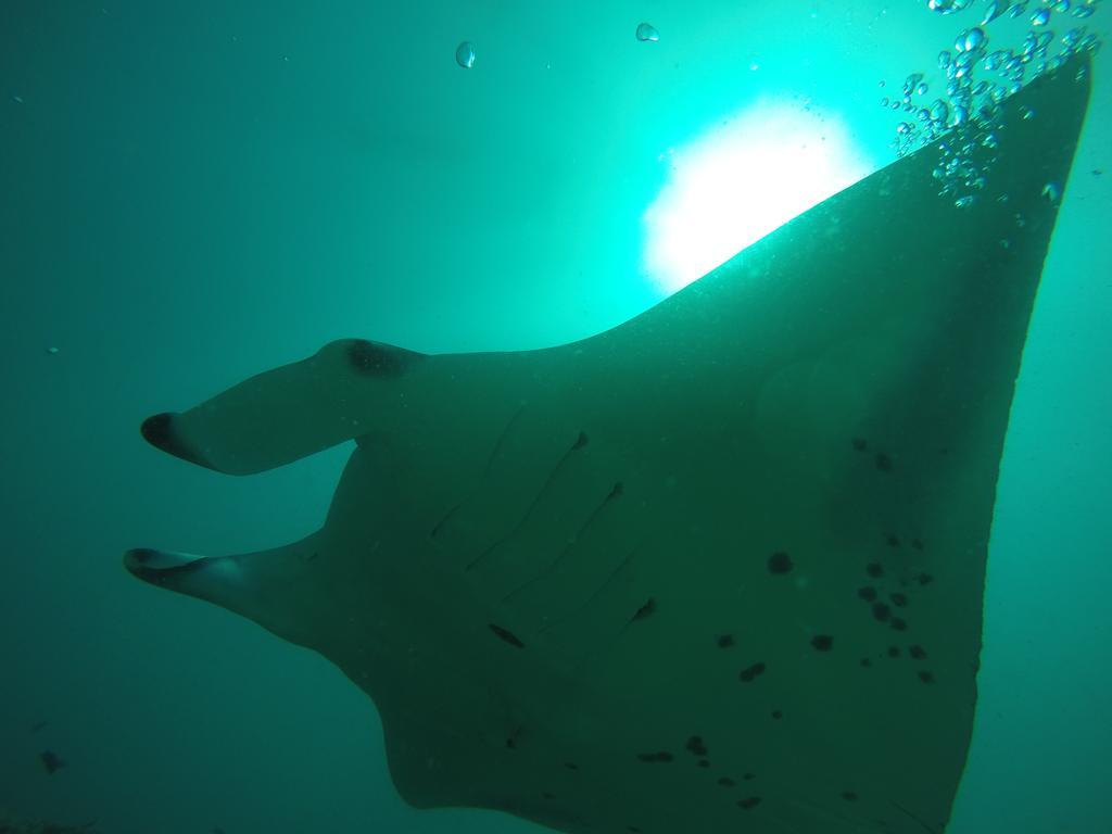 Rasdhoo Coralville Luaran gambar